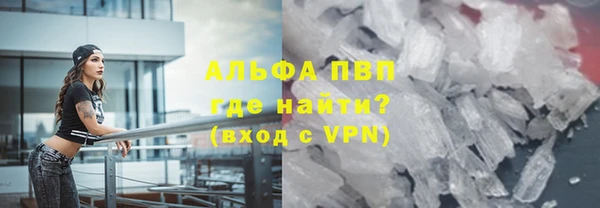 шишки Губаха