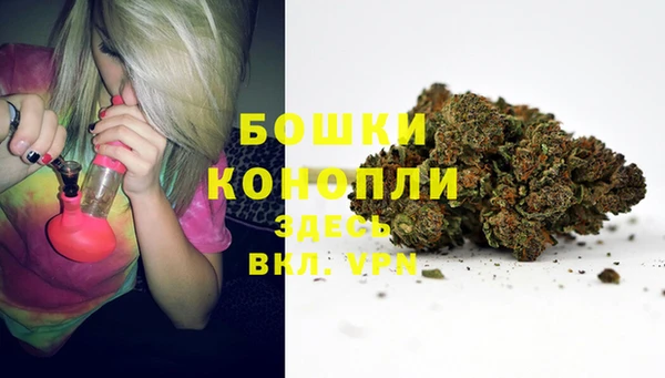 СК Грязи